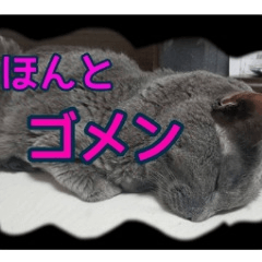 2nd work My name is Cat Mee