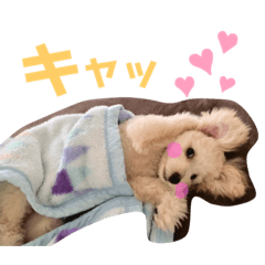 OMOCHI_20200327163749