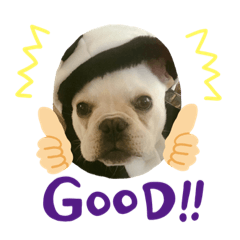 はじめまして僕レオです。