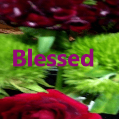 Flowers and Blessings