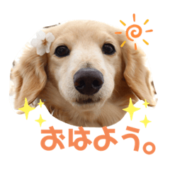 risa_20200328190551