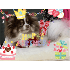 marina_20200328210738