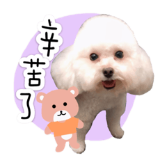 咪兔家族2