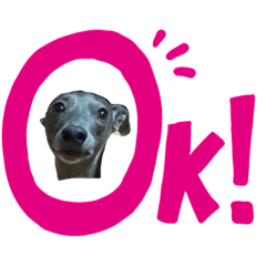 OtsuDogs