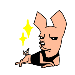 スムースチワワのコテツ