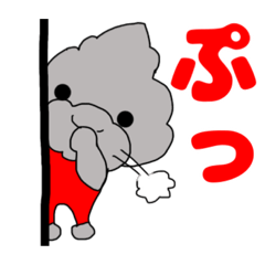 トイプードルのルイ君