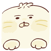 Dumpling cat!