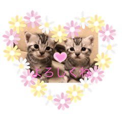 Ayumi_20200327215311