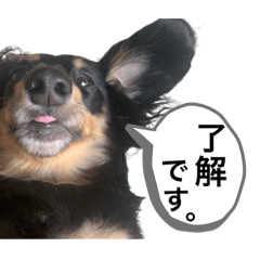 suzu_20200329012653