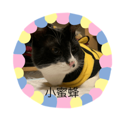 小咪醬❤️