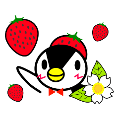 penguinberry_20200329010530