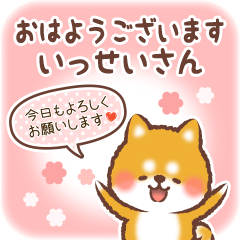 Love Sticker to Issei from Shiba 4