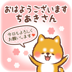 Love Sticker to Chiaki from Shiba 4