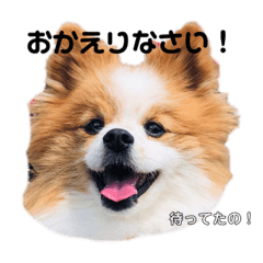 Hana_20200329204516