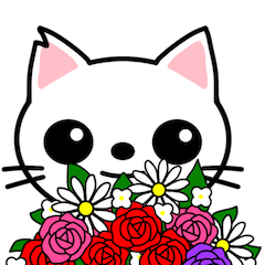 White cat SHIRO -event-