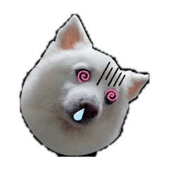 NUNU everday