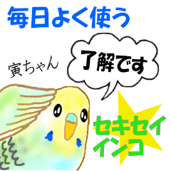 Little Bird Torajiro