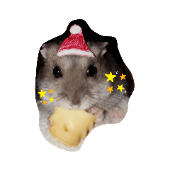 Nozomi_20200329193919