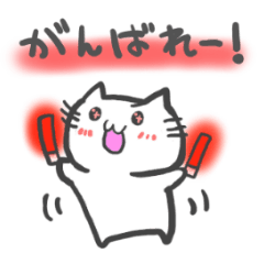 idol light cat