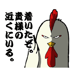 The Cool Chicken With Little Chick Line Stickers Line Store