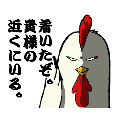 かっこいいニワトリ Line スタンプ Line Store かっこいいニワトリ Line スタンプ Line Store