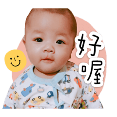 衍衍大寶貝