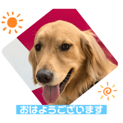 Sun_20200330
