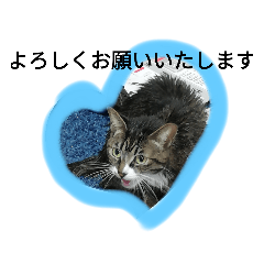 akiko_20200330160854