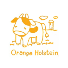 Orange Holstein