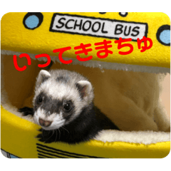 yukina_20200330012716