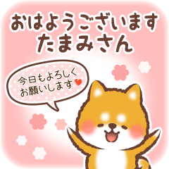 Love Sticker to Tamami from Shiba 4