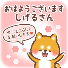 Love Sticker to Shigeru from Shiba 4
