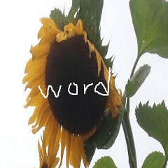 Sunflower and text