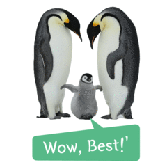 World First Real Penguin Emoticon