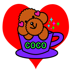 Coco cute teacup poodle