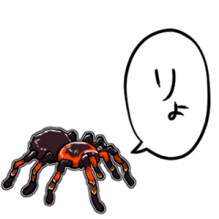 talking spider