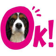 akiko_20200330211145