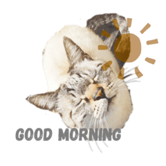 ayumi_20200330212445