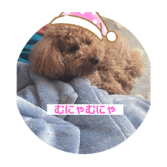 suzu_20200330220419