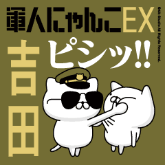 "YOSHIDA"name-Movie Military cat