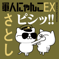 "SATOSHI"name-Movie Military cat