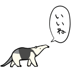 talking anteaters