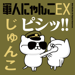 "JUNKO"name-Movie Military cat