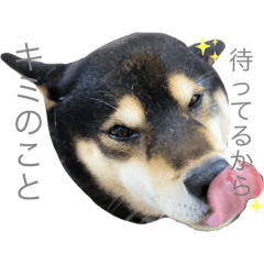 smile_20200330191008