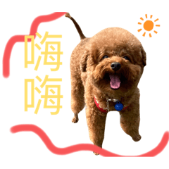 米哥的日常生活