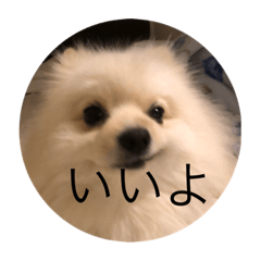 Rei_20200329215727