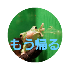 james_20200331031051