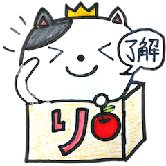 Caixa de hiragana pet 2