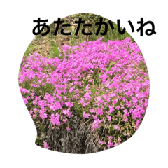 のんびり生活だね