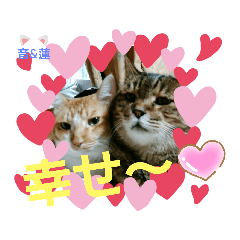 hikari_20200330175248